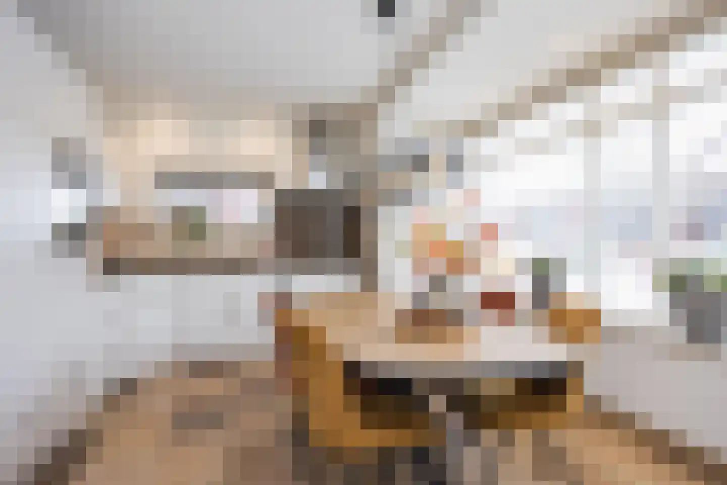 Zadelmaker 14 Oldenzaal thumbnail 10