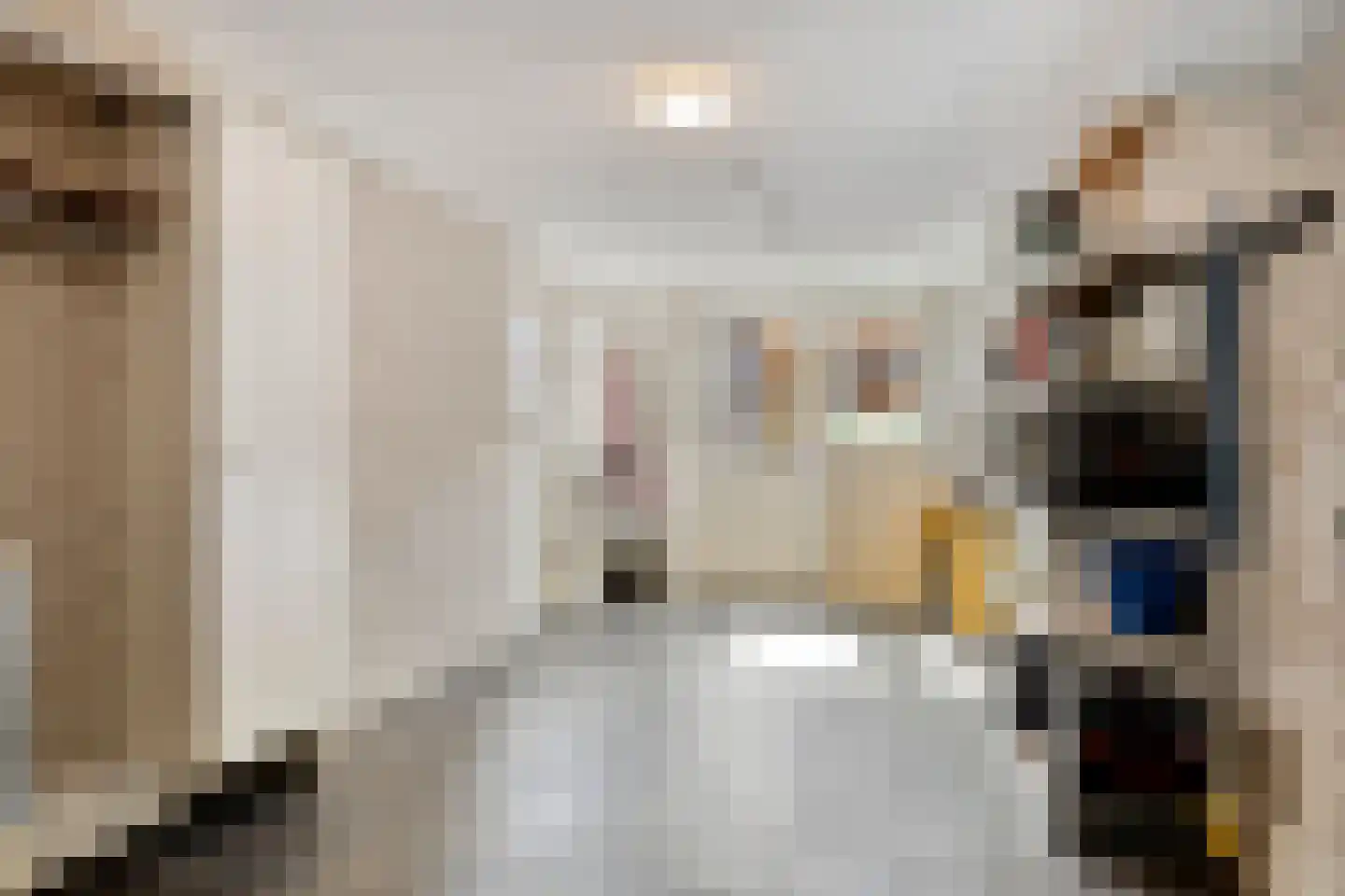 Zadelmaker 14 Oldenzaal thumbnail 11