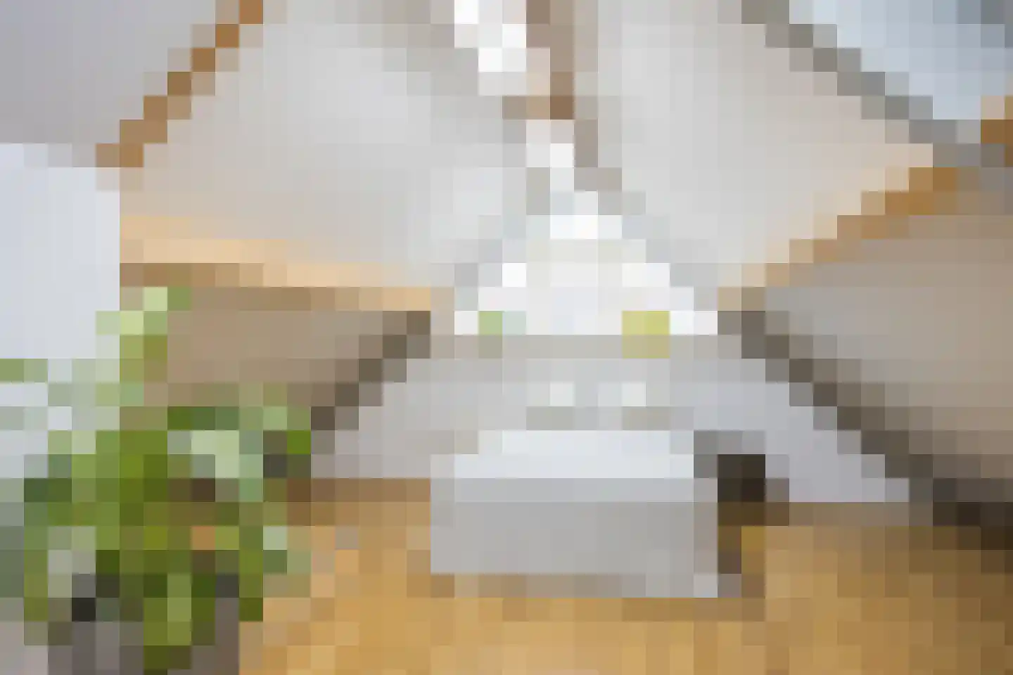 Zadelmaker 14 Oldenzaal thumbnail 22