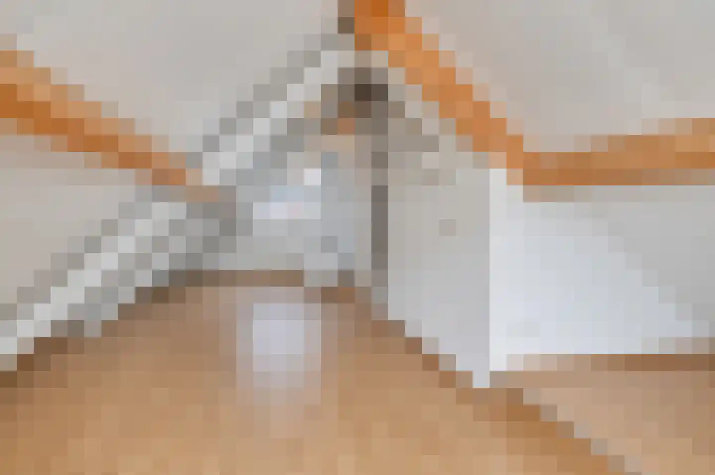 Zadelmaker 14 Oldenzaal thumbnail 23