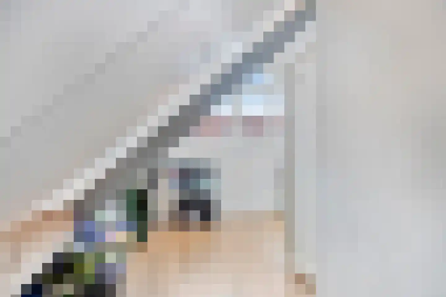 Zadelmaker 14 Oldenzaal thumbnail 24