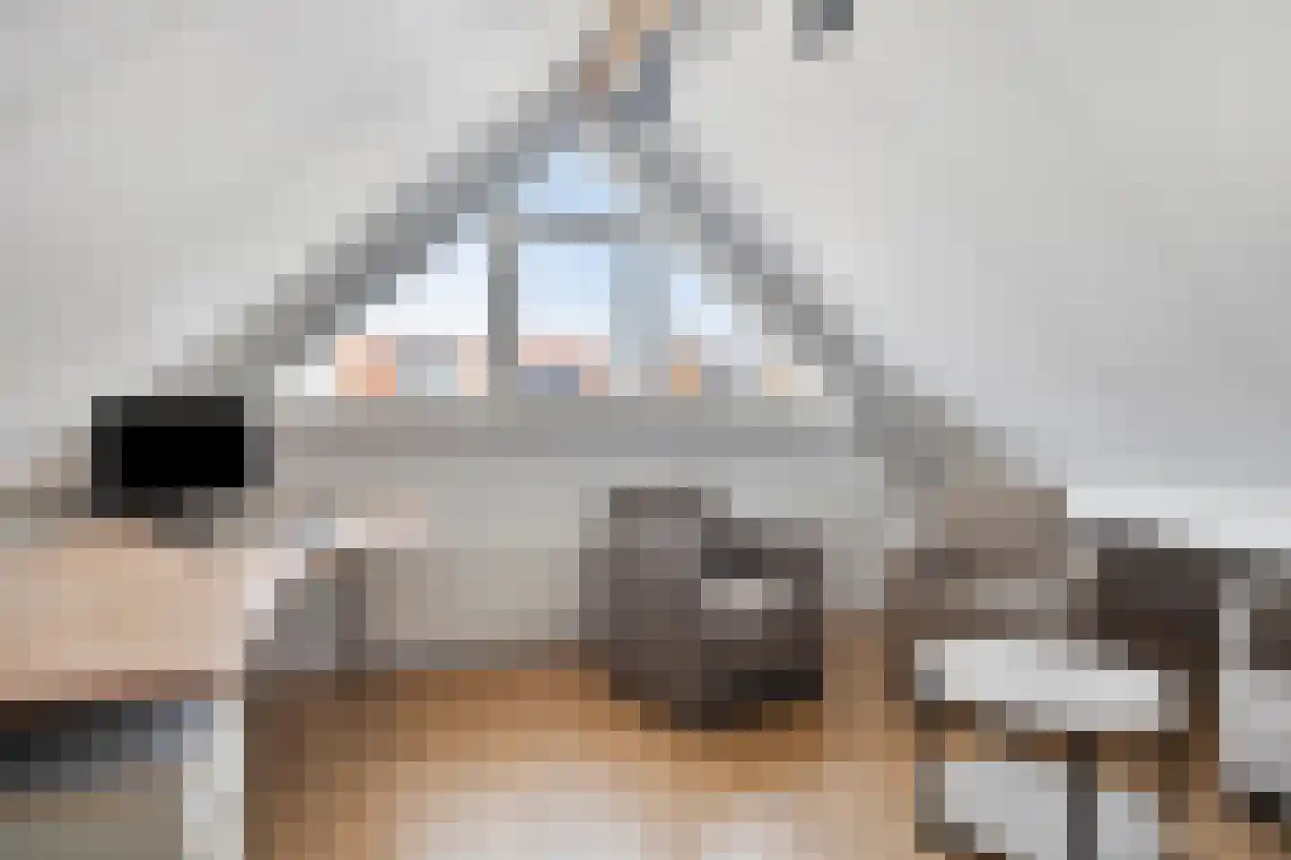 Zadelmaker 14 Oldenzaal thumbnail 25