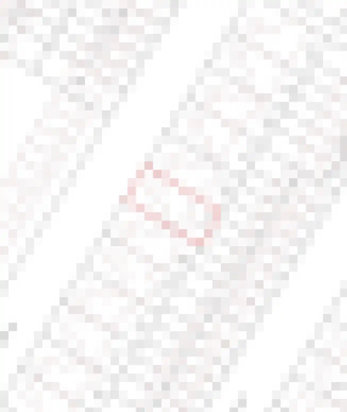Zadelmaker 14 Oldenzaal thumbnail 35