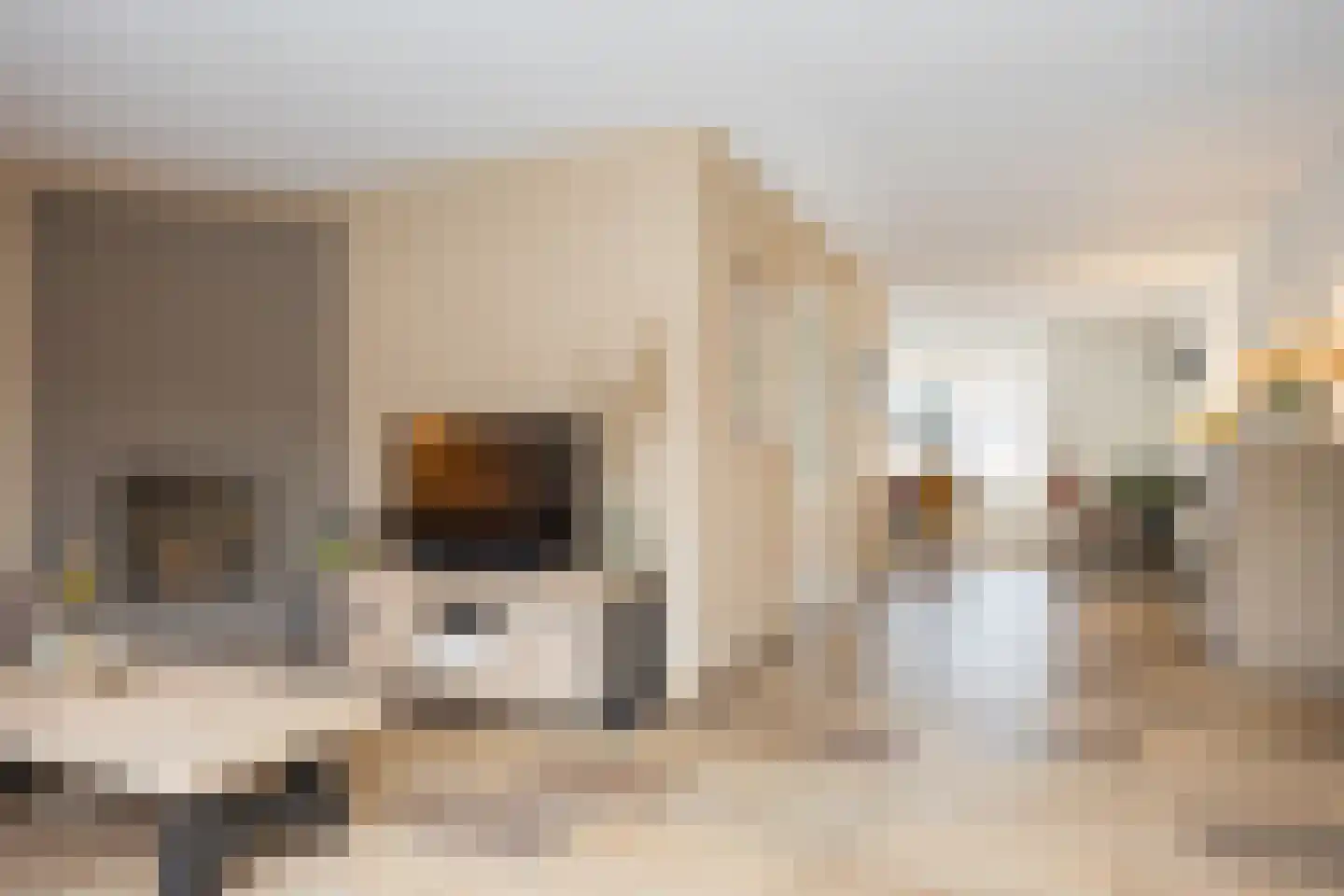 Zadelmaker 14 Oldenzaal thumbnail 7