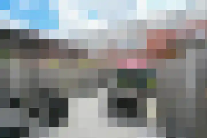 Zadelmaker 143 Alphen aan den Rijn thumbnail 35