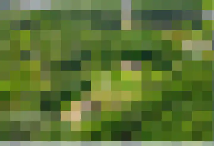 Zadelmaker 143 Alphen aan den Rijn thumbnail 38