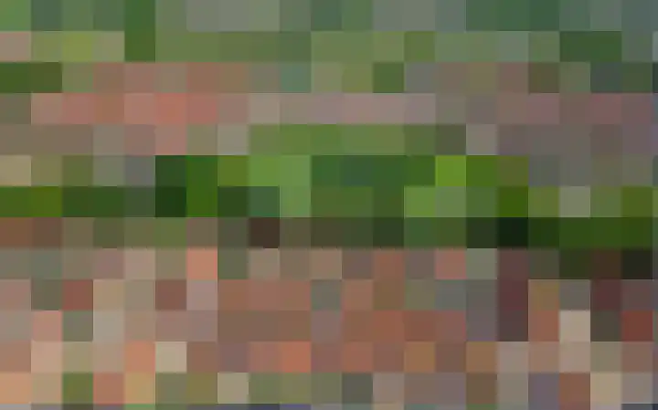 Zadelmaker 143 Alphen aan den Rijn thumbnail 39