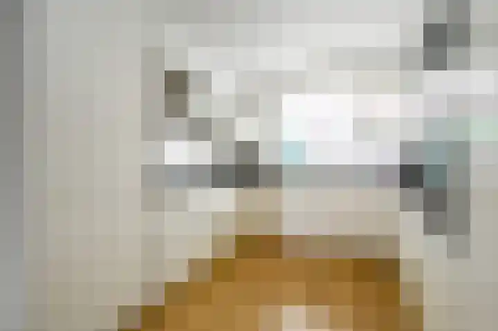 Zadelmaker 143 Alphen aan den Rijn thumbnail 8