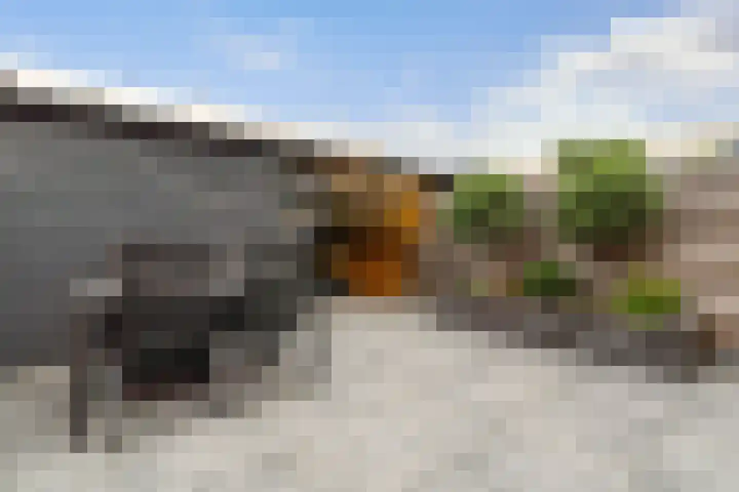 Zadelmaker 148 Alphen aan den Rijn thumbnail 33