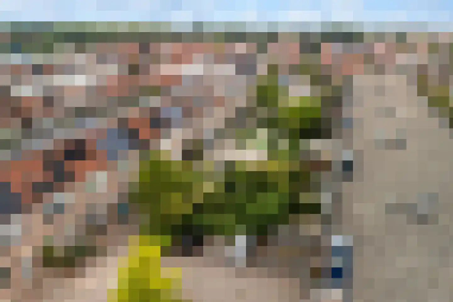 Zadelmaker 148 Alphen aan den Rijn thumbnail 5