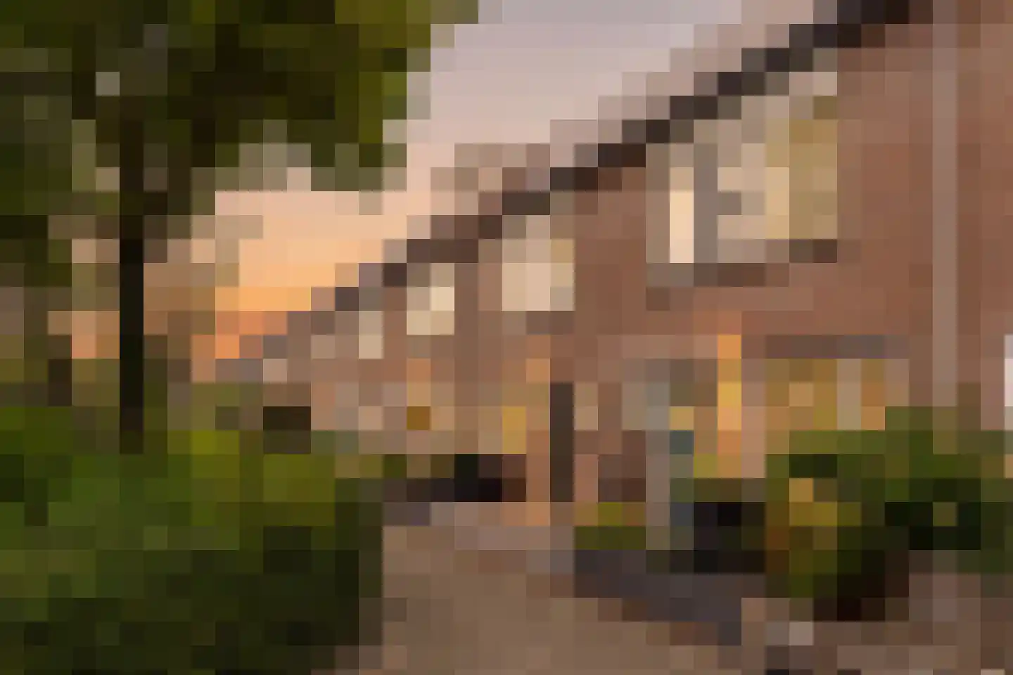 Zadelmaker 148 Alphen aan den Rijn thumbnail 9