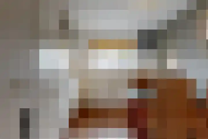 Zadelmaker 16 Leiderdorp thumbnail 11
