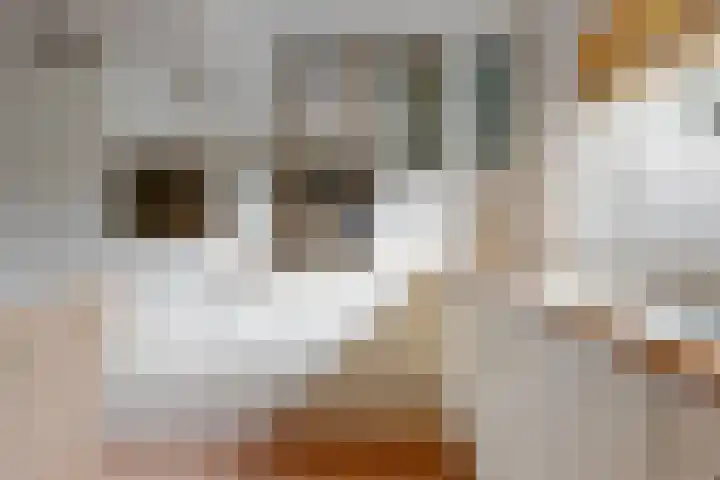 Zadelmaker 16 Leiderdorp thumbnail 13