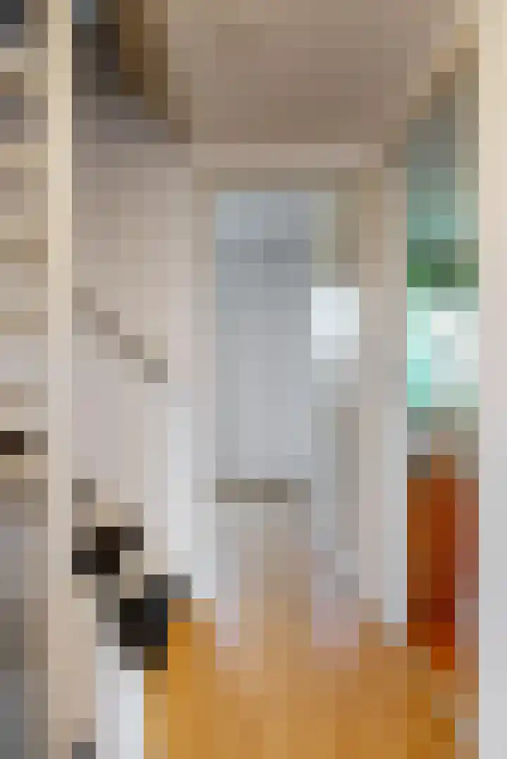 Zadelmaker 16 Leiderdorp thumbnail 14
