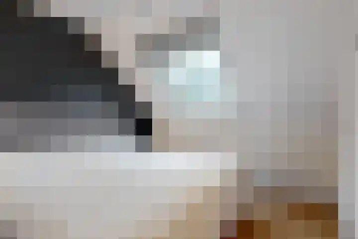 Zadelmaker 16 Leiderdorp thumbnail 18