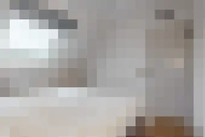 Zadelmaker 16 Leiderdorp thumbnail 19
