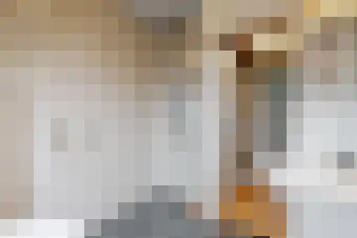 Zadelmaker 16 Leiderdorp thumbnail 20
