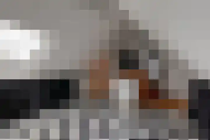 Zadelmaker 16 Leiderdorp thumbnail 26