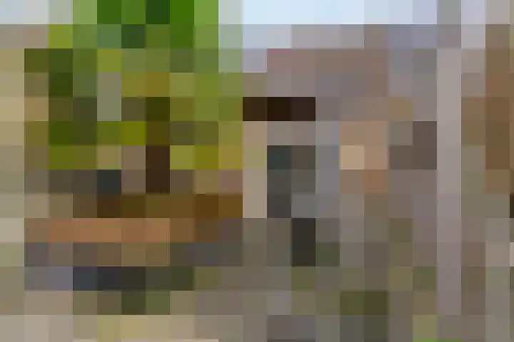 Zadelmaker 16 Leiderdorp thumbnail 28