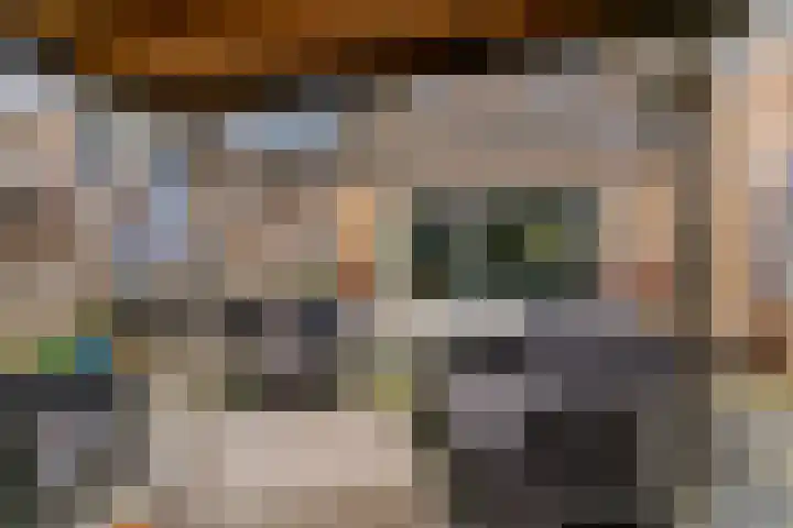 Zadelmaker 16 Leiderdorp thumbnail 29