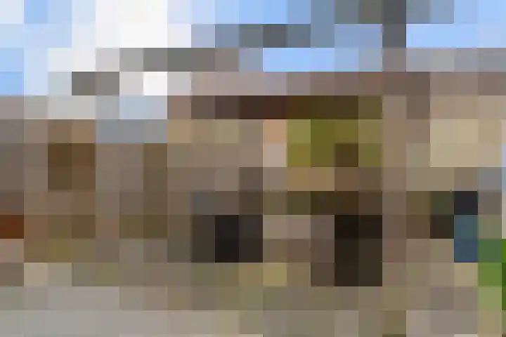 Zadelmaker 16 Leiderdorp thumbnail 30