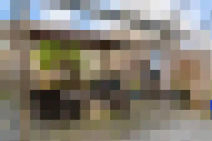 Zadelmaker 16 Leiderdorp thumbnail 31