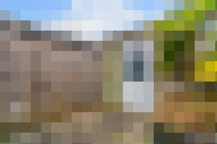Zadelmaker 16 Leiderdorp thumbnail 32