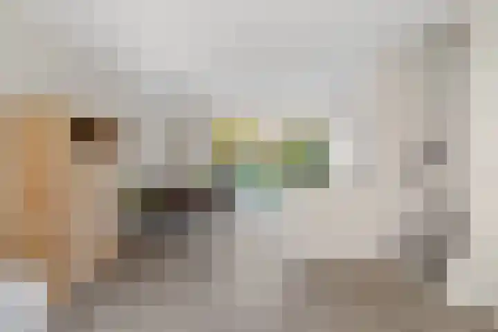 Zadelmaker 18 Alphen aan den Rijn thumbnail 15