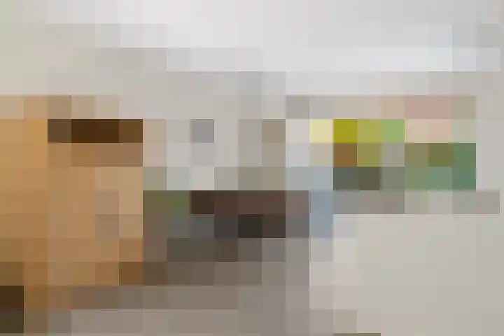 Zadelmaker 18 Alphen aan den Rijn thumbnail 16