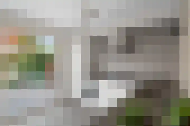 Zadelmaker 18 Alphen aan den Rijn thumbnail 21