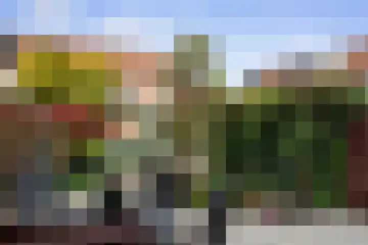Zadelmaker 18 Alphen aan den Rijn thumbnail 25