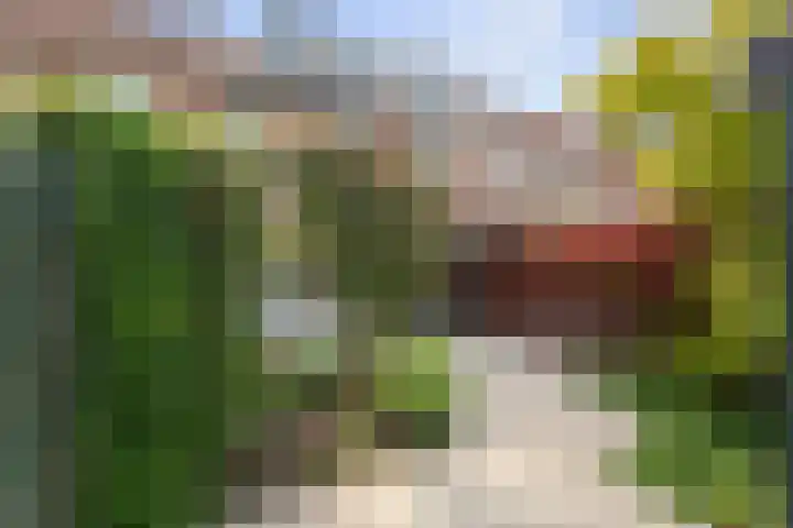 Zadelmaker 18 Alphen aan den Rijn thumbnail 27