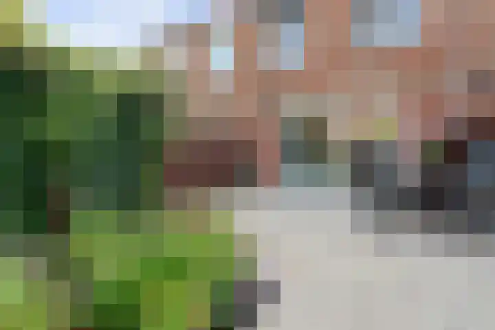 Zadelmaker 18 Alphen aan den Rijn thumbnail 28