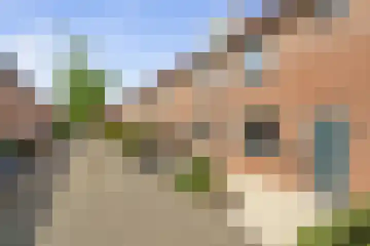 Zadelmaker 18 Alphen aan den Rijn thumbnail 4