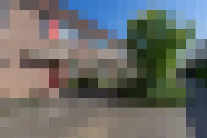 Zadelmaker 187 Alphen aan den Rijn thumbnail 25