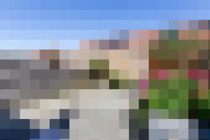 Zadelmaker 187 Alphen aan den Rijn thumbnail 6