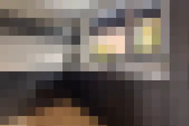 Zadelmaker 28 Alphen aan den Rijn thumbnail 11