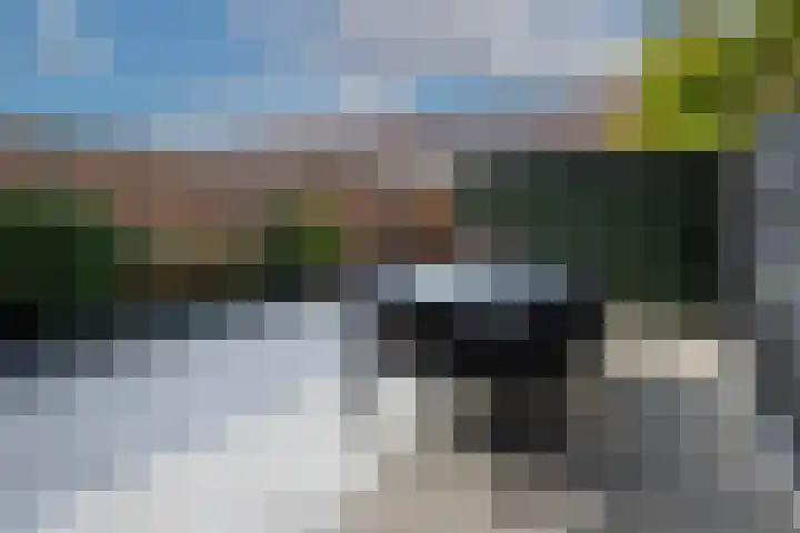 Zadelmaker 28 Alphen aan den Rijn thumbnail 24