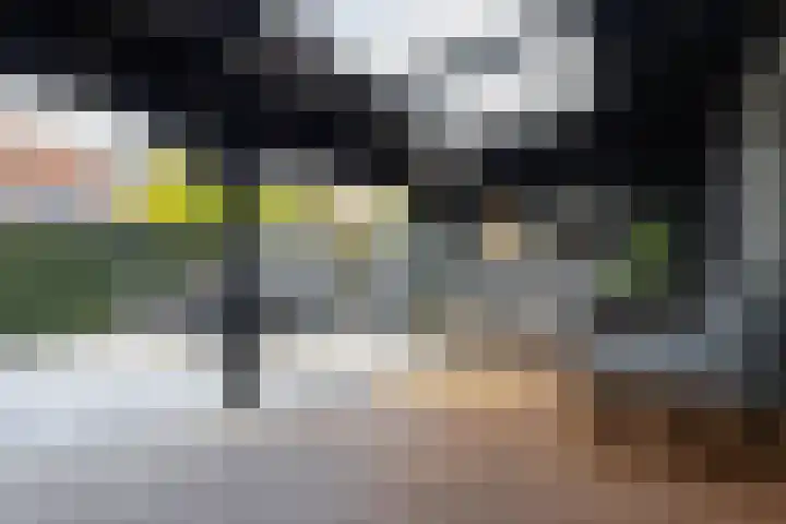 Zadelmaker 28 Alphen aan den Rijn thumbnail 29