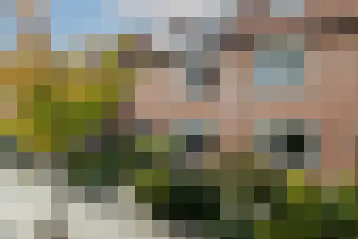 Zadelmaker 28 Alphen aan den Rijn thumbnail 32