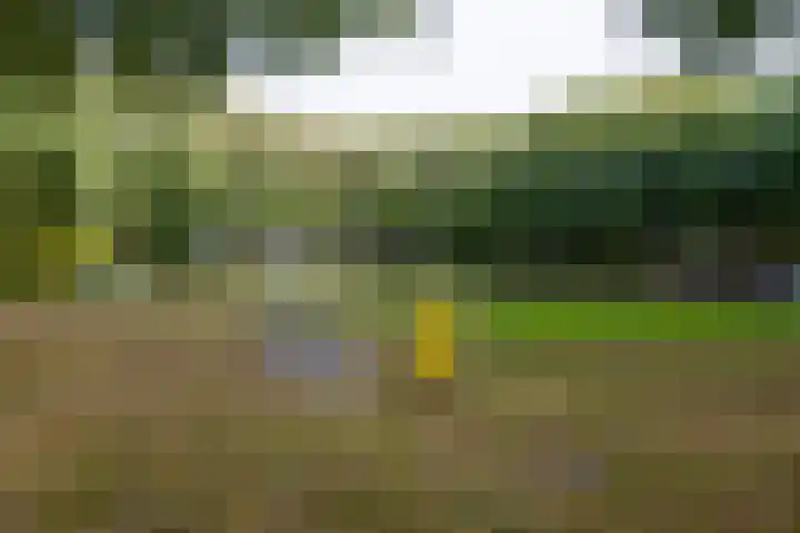Zadelmaker 28 Alphen aan den Rijn thumbnail 33