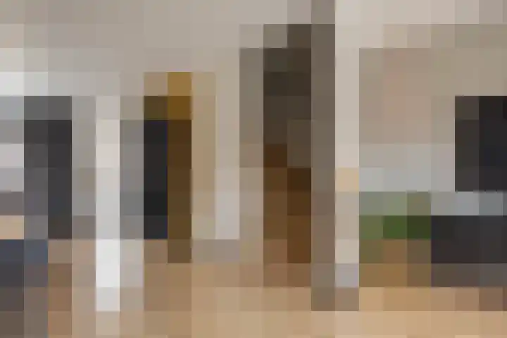 Zadelmaker 28 Alphen aan den Rijn thumbnail 6