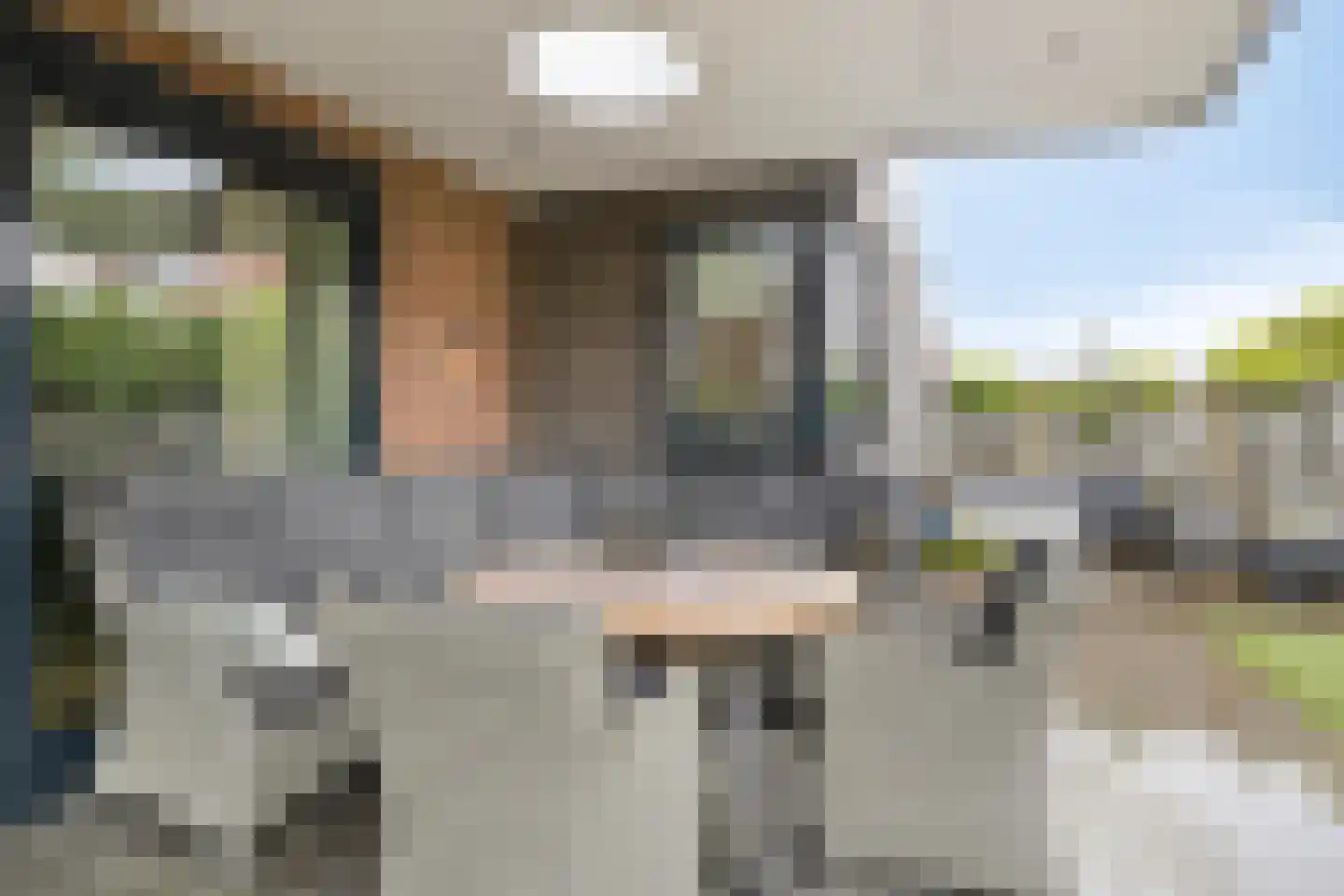 Zadelmaker 38 Oldenzaal thumbnail 30