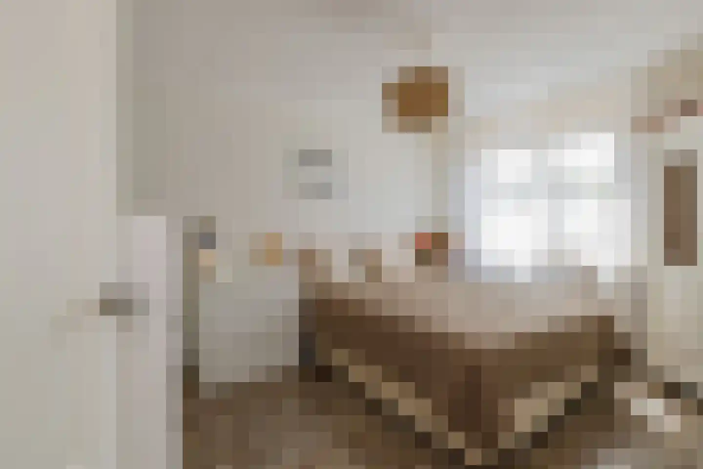 Zadelmaker 44 Alphen aan den Rijn thumbnail 13