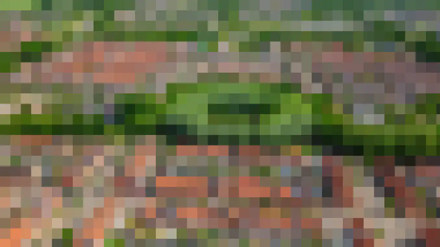 Zadelmaker 44 Alphen aan den Rijn thumbnail 36