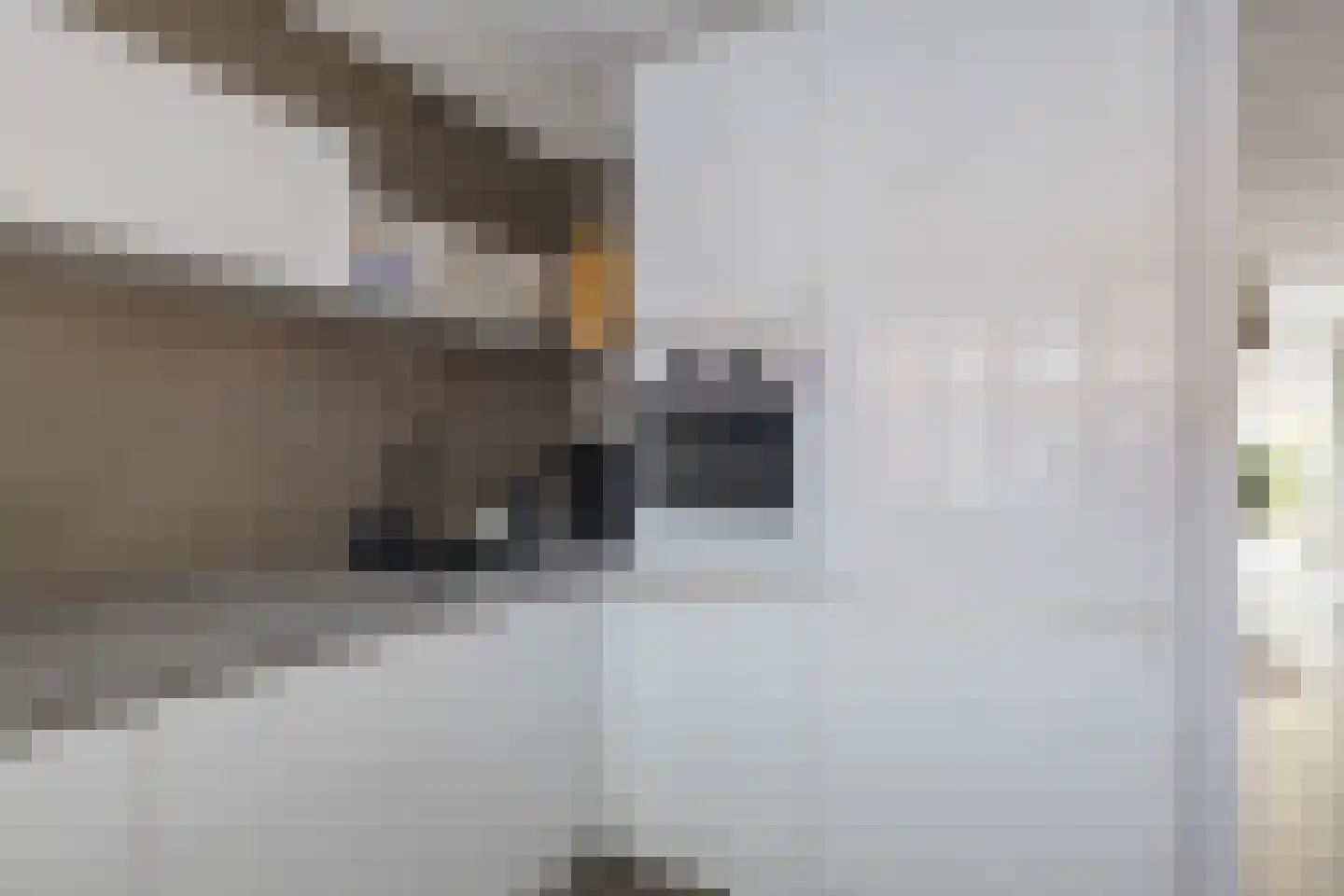 Zadelmaker 44 Alphen aan den Rijn thumbnail 8