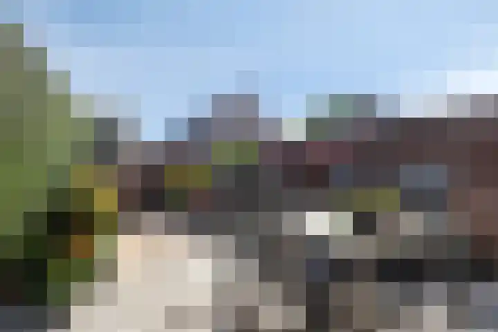 Zadelmaker 5 IJsselstein thumbnail 20