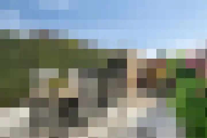 Zadelmaker 5 IJsselstein thumbnail 22