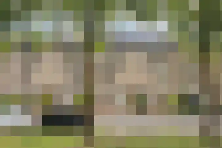 Zadelmaker 5 IJsselstein thumbnail 26