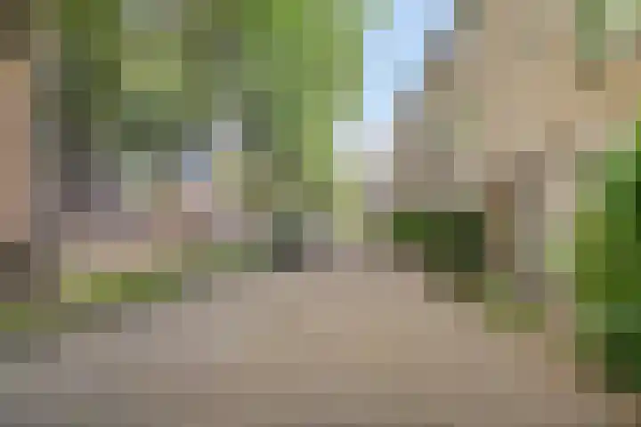Zadelmaker 5 IJsselstein thumbnail 27